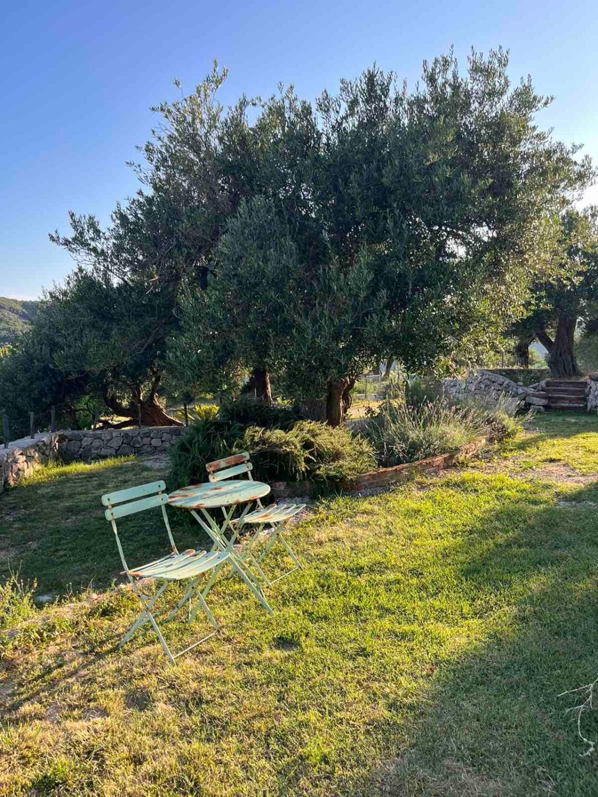 Konoba Villa Supetarska Draga Buitenkant foto